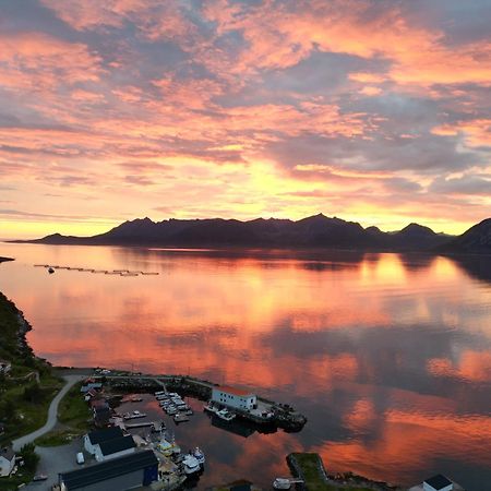 Aparthotel Senja Living Stonglandseidet Esterno foto