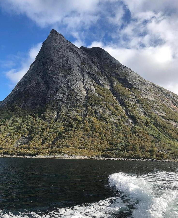 Aparthotel Senja Living Stonglandseidet Esterno foto