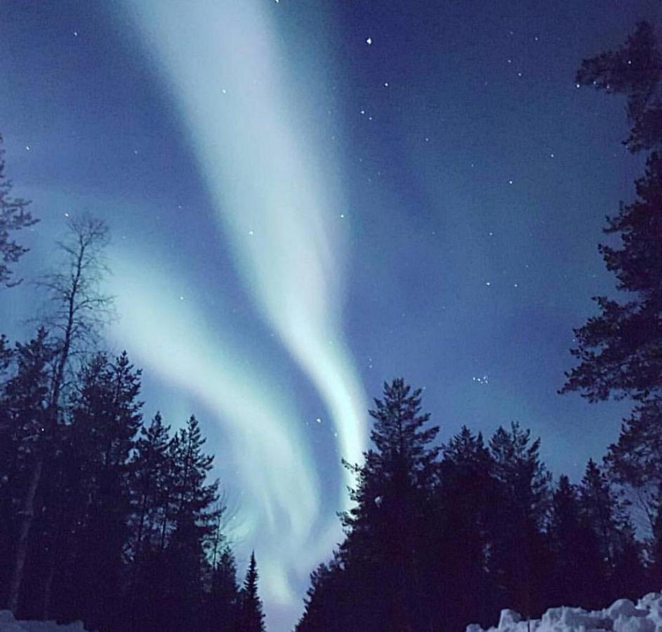 Aparthotel Senja Living Stonglandseidet Esterno foto