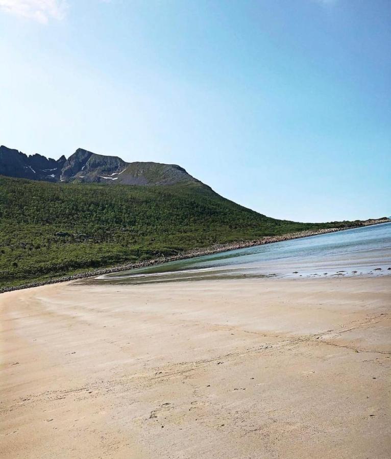 Aparthotel Senja Living Stonglandseidet Esterno foto