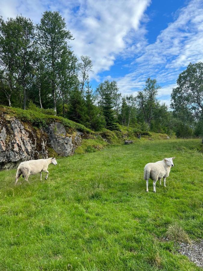 Aparthotel Senja Living Stonglandseidet Esterno foto