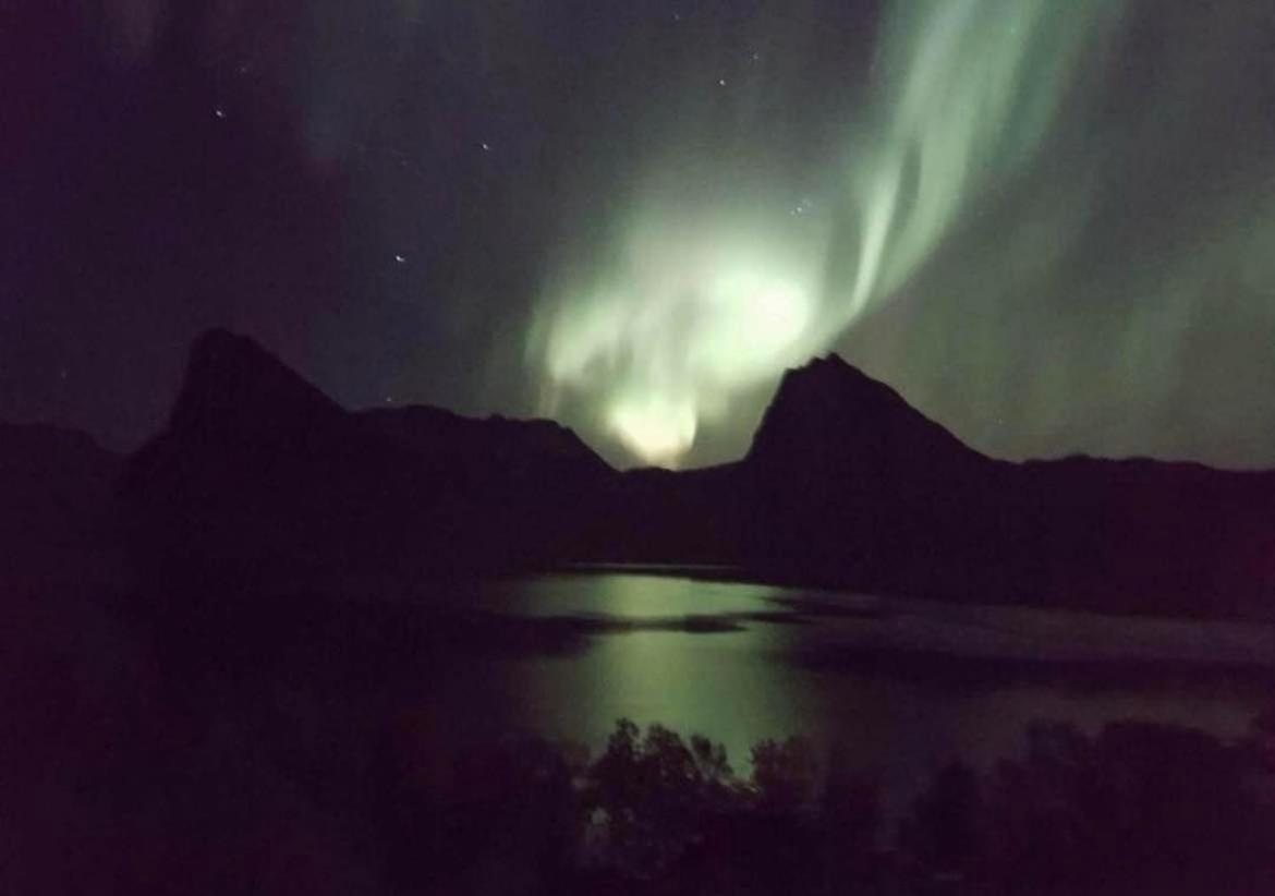 Aparthotel Senja Living Stonglandseidet Esterno foto