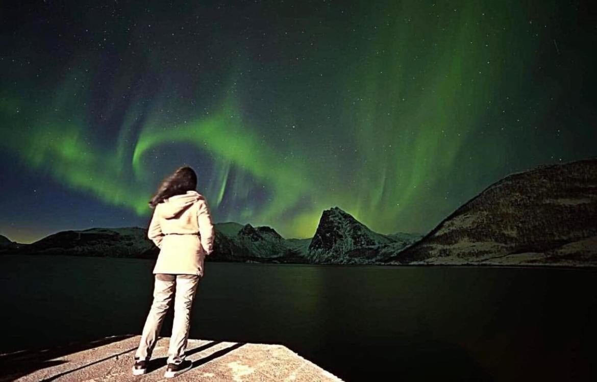 Aparthotel Senja Living Stonglandseidet Esterno foto