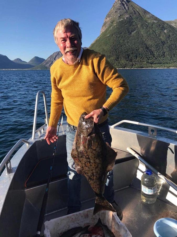 Aparthotel Senja Living Stonglandseidet Esterno foto