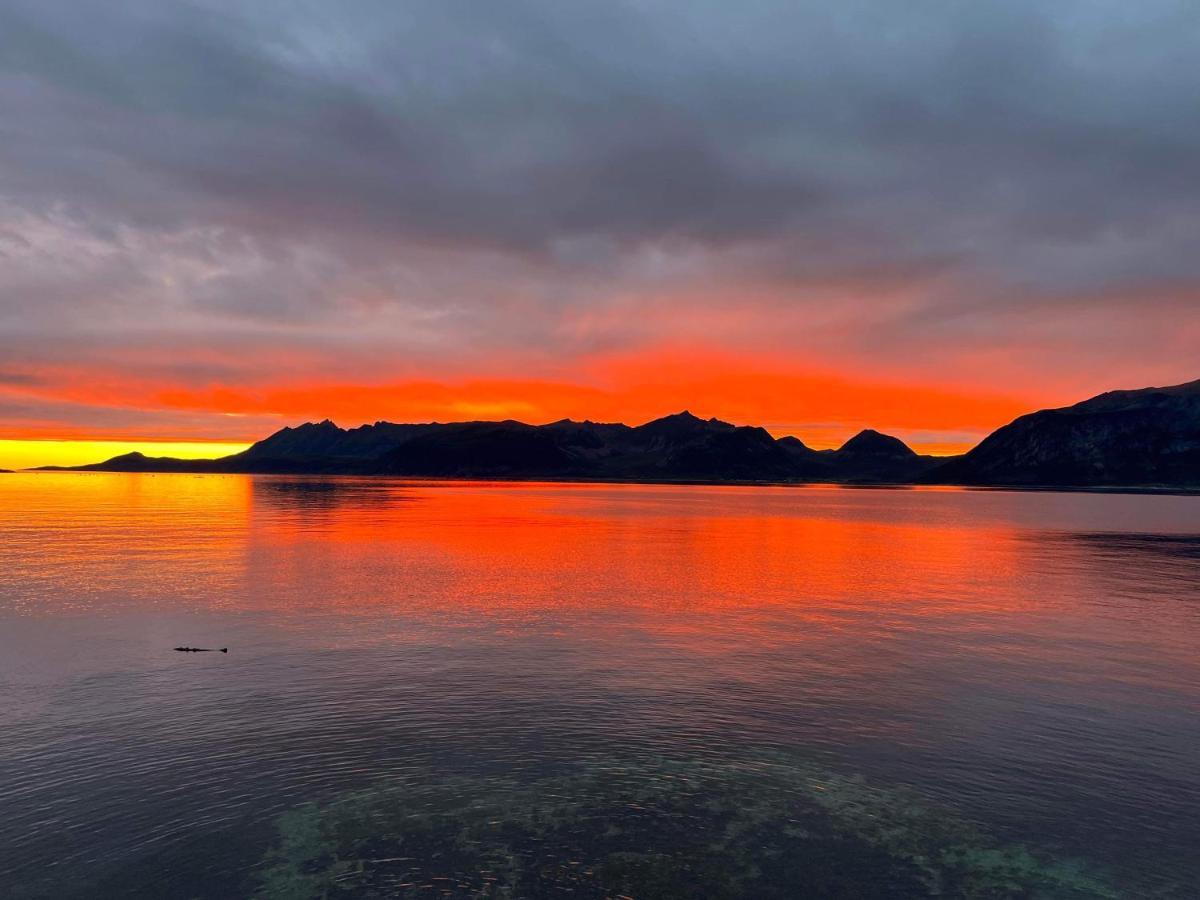 Aparthotel Senja Living Stonglandseidet Esterno foto