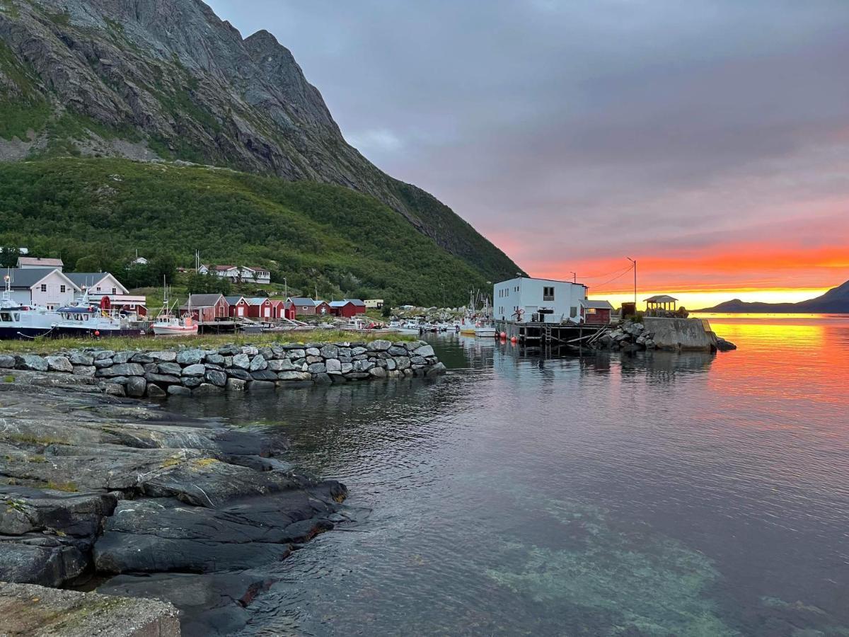 Aparthotel Senja Living Stonglandseidet Esterno foto