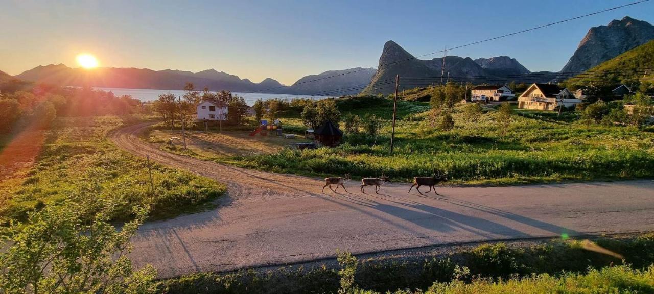 Aparthotel Senja Living Stonglandseidet Esterno foto